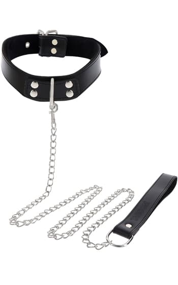 Elegant Collar & Chain Leash
