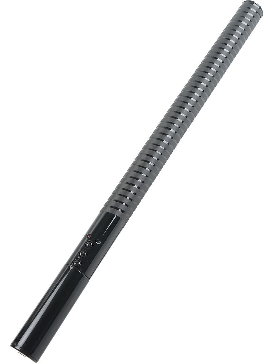 Hidden Desire Extreme: Electro Baton