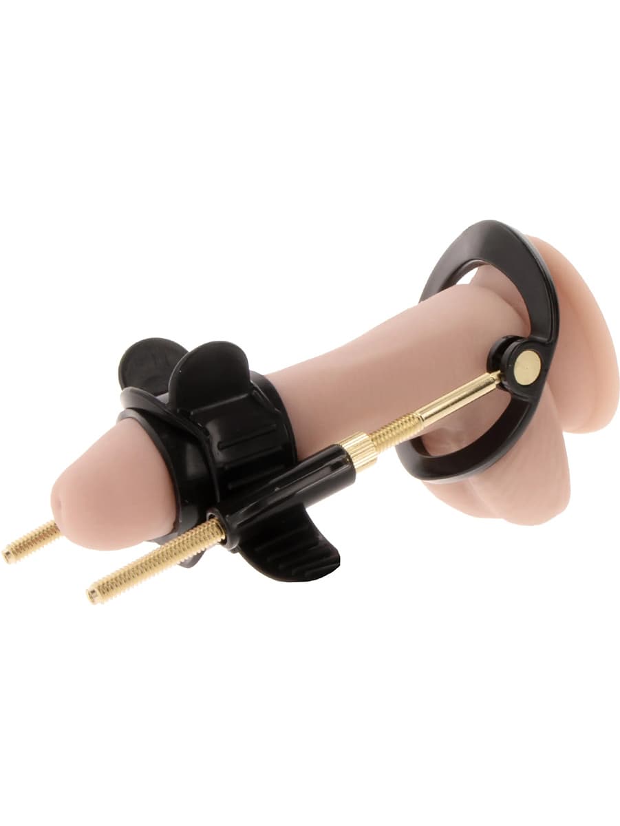 Hidden Desire: Fusion X, Penis Growth Training Comfort Set